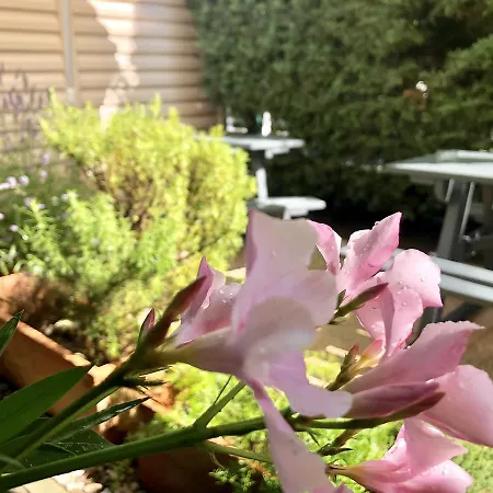 Premiere Classe Sud Hotel